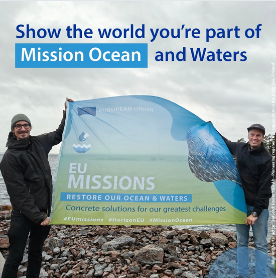 Mission Ocean flag