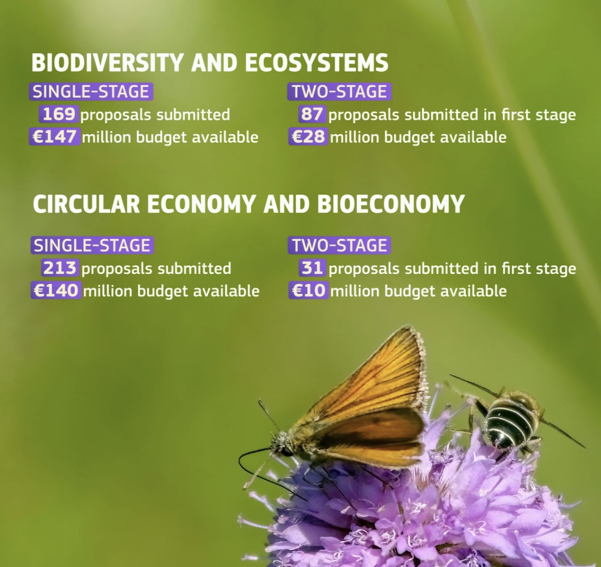ecresults2025-4