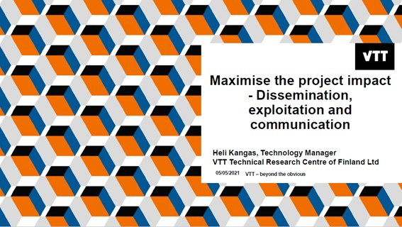 Maximise the project impact
