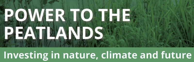 peatlands