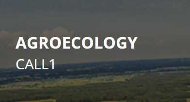 agroeco2024