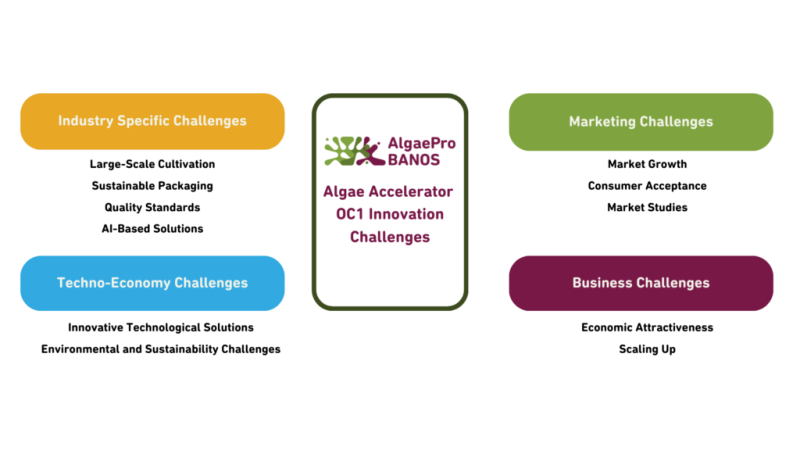 Overview of Algae Accelerator topics