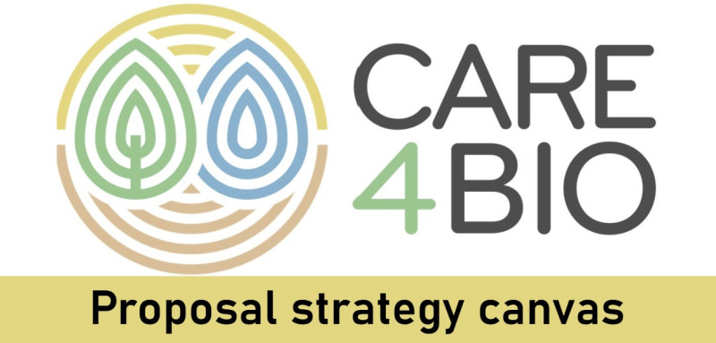 care4biostrategycanvas